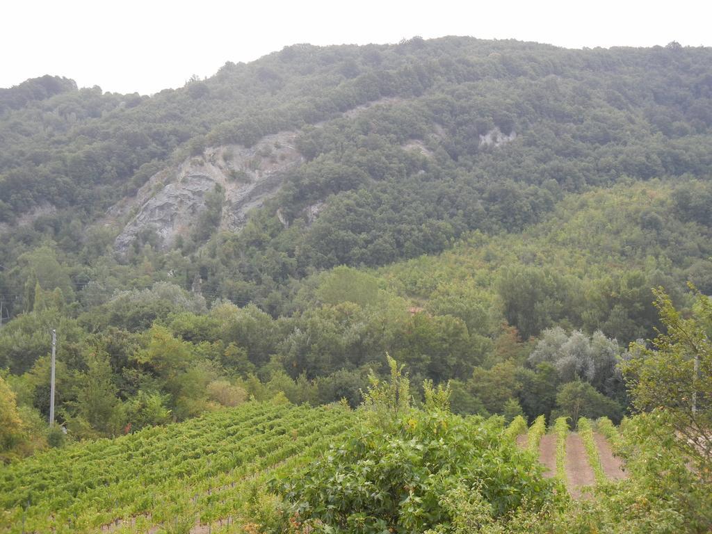 La Colombarola Agriturismo Farneto Luaran gambar