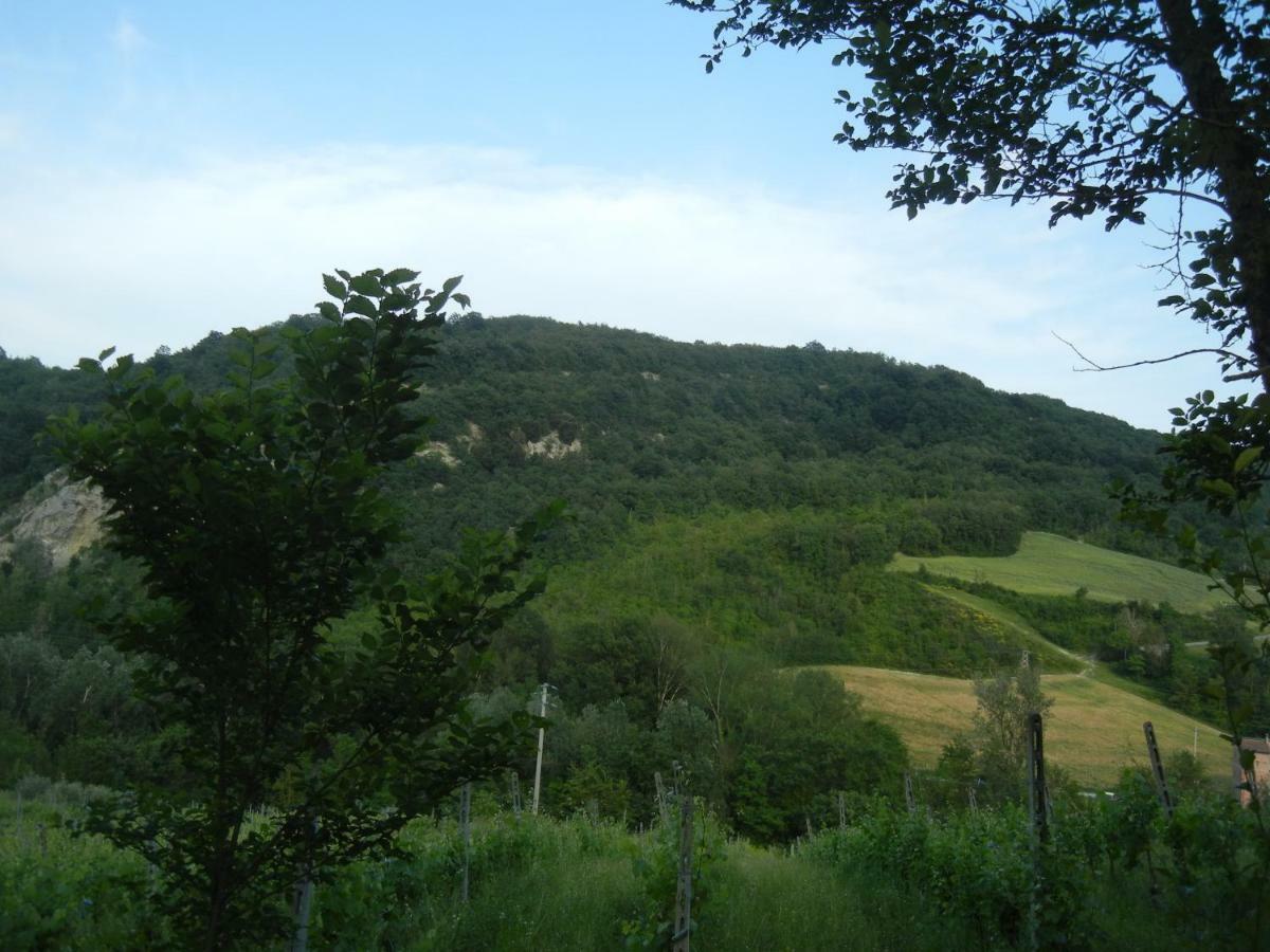 La Colombarola Agriturismo Farneto Luaran gambar