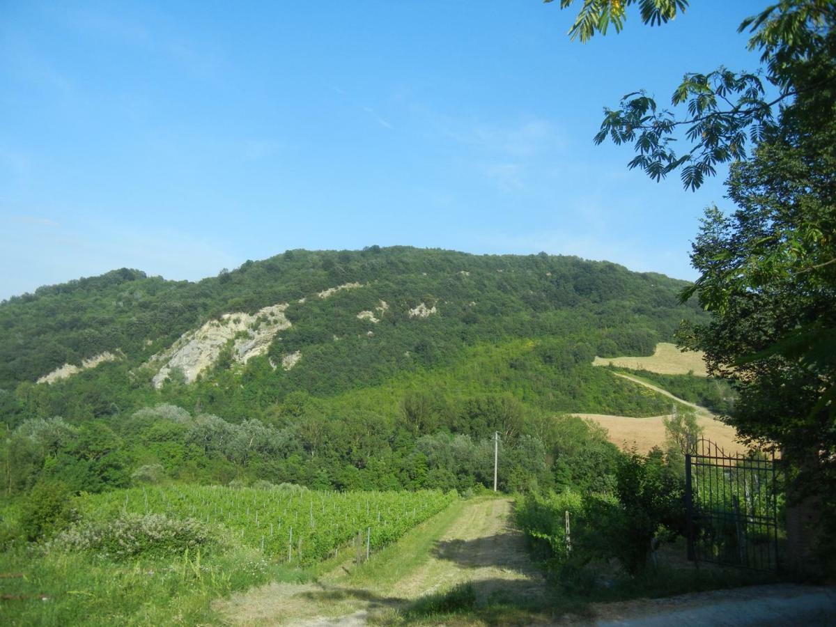 La Colombarola Agriturismo Farneto Luaran gambar